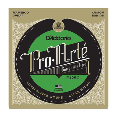Daddario EJ25C