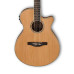 Ibanez AEG15II lG