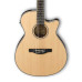 Ibanez AEG8E NT
