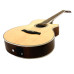 Ibanez AEG8E NT