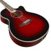 Ibanez AEG8E TRS