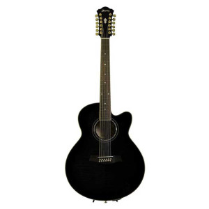Ibanez AEL2012E TKS