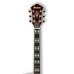 Ibanez AF155 AWB