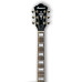 Ibanez AF75 TDG
