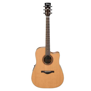Ibanez AW250ECE LG