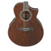 Ibanez EW20WNE NT
