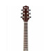 Ibanez EW20WNE NT