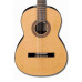 Ibanez G100 NT