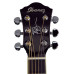 Ibanez JSA10 bk With Hard Case