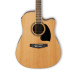 Ibanez PF17ECE LG