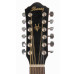 Ibanez V7212E NT