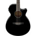 Ibanez AEG10II-BK