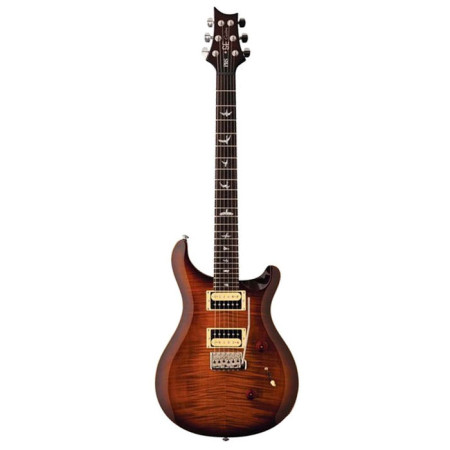 PRS SE Custom 24