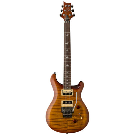 PRS SE Floyd Custom 24 PRS SE Floyd Custom 24