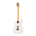 PRS Silver Sky Frost Maple
