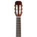 Aria Ak20 Aria Ak20
