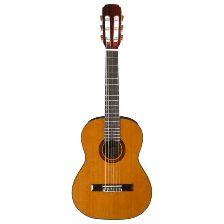 Aria Ak20 Aria Ak20