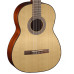 Cort AC100