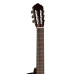 Cort AC250CF