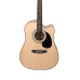 Cort AD880CE-NS