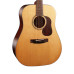 Cort Gold D6