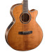Cort SFX10