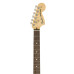 Fender American Performer Strat Honey Burst