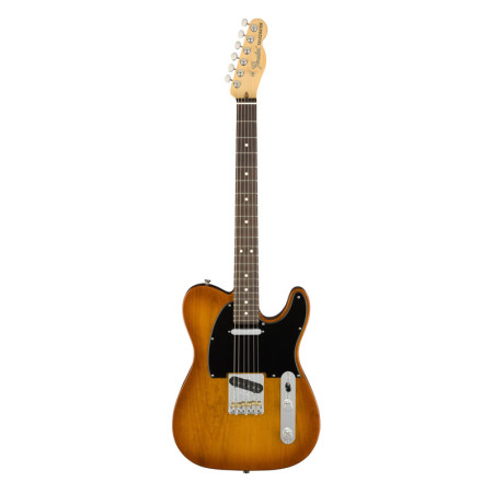 Fender American Performer Tele Honey Burst