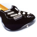 Fender David Gilmoure  Strat  NOS