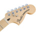 Fender Deluxe Stratocaster SBT