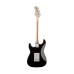 Fender Eric Clapton Strat Blackie