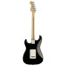 Fender Standard Stratocaster Pau Ferro BLK