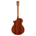 Ibanez AEWC11 DVS