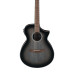 Ibanez AEWC11 TCB
