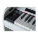 Dexibell Vivo H7 WH Dexibell Vivo H7 WH