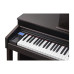 Kurzweil CUP310 SR