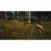 Way of the Hunter Playstation 5 Way of the Hunter Playstation 5