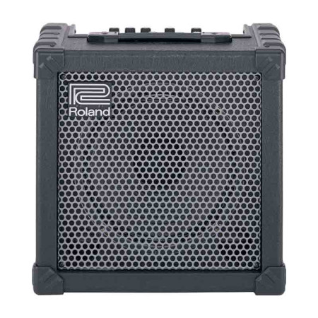 Roland Cube 30