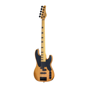 Schecter Model T Session 5 ANS Schecter Model T Session 5 ANS