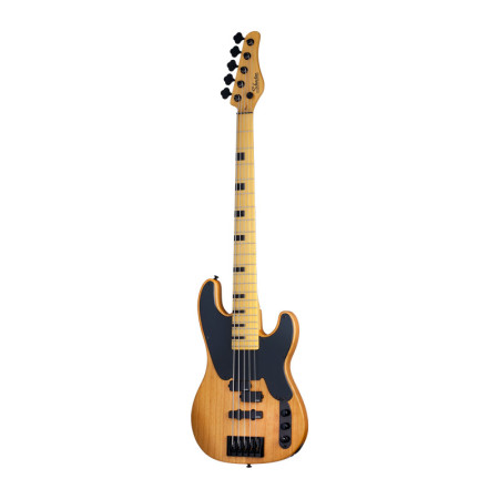 Schecter Model T Session 5 ANS