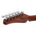 Schecter Nick Johnston Traditional Atomic GR Schecter Nick Johnston Traditional Atomic GR