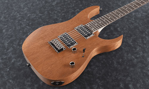 گیتار الکتریک آیبانز Ibanez RG421 MOL