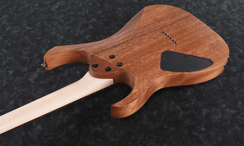 گیتار الکتریک آیبانز Ibanez RG421 MOL
